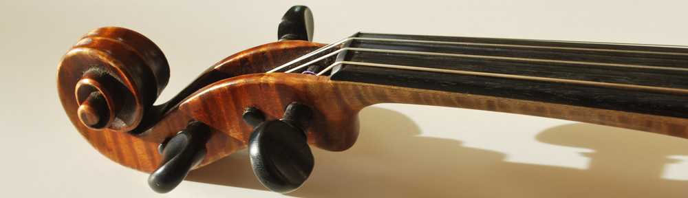 Camerata Bendigo String Quartet